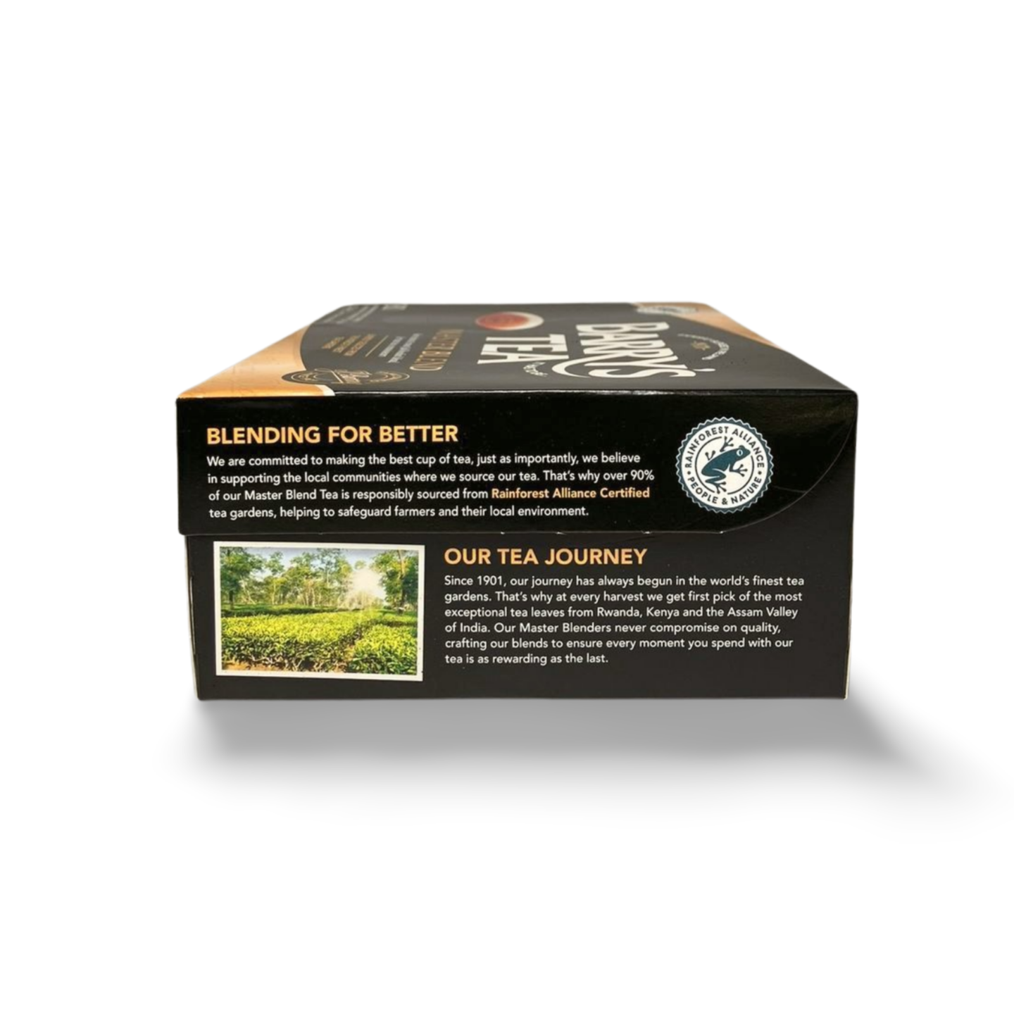 Barrys Tea Master Blend 80 Teabags